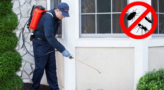 Eyüp Böcek İlaçlama böcek ilaçlama ve haşere kontrolü — ilaclama-tr.com